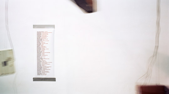 Text zum bild